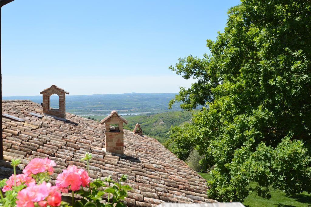 Luxury Villa Colle Dell'Asinello ,Proprietari ,Villa In Esclusiva Near Orvieto Guardea Dış mekan fotoğraf