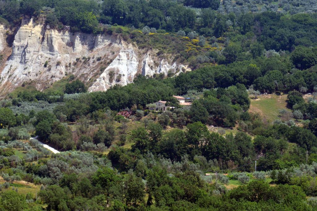 Luxury Villa Colle Dell'Asinello ,Proprietari ,Villa In Esclusiva Near Orvieto Guardea Dış mekan fotoğraf